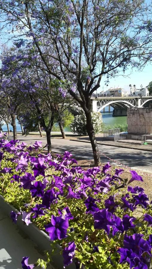 Anna - Triana Διαμέρισμα Σεβίλλη Εξωτερικό φωτογραφία